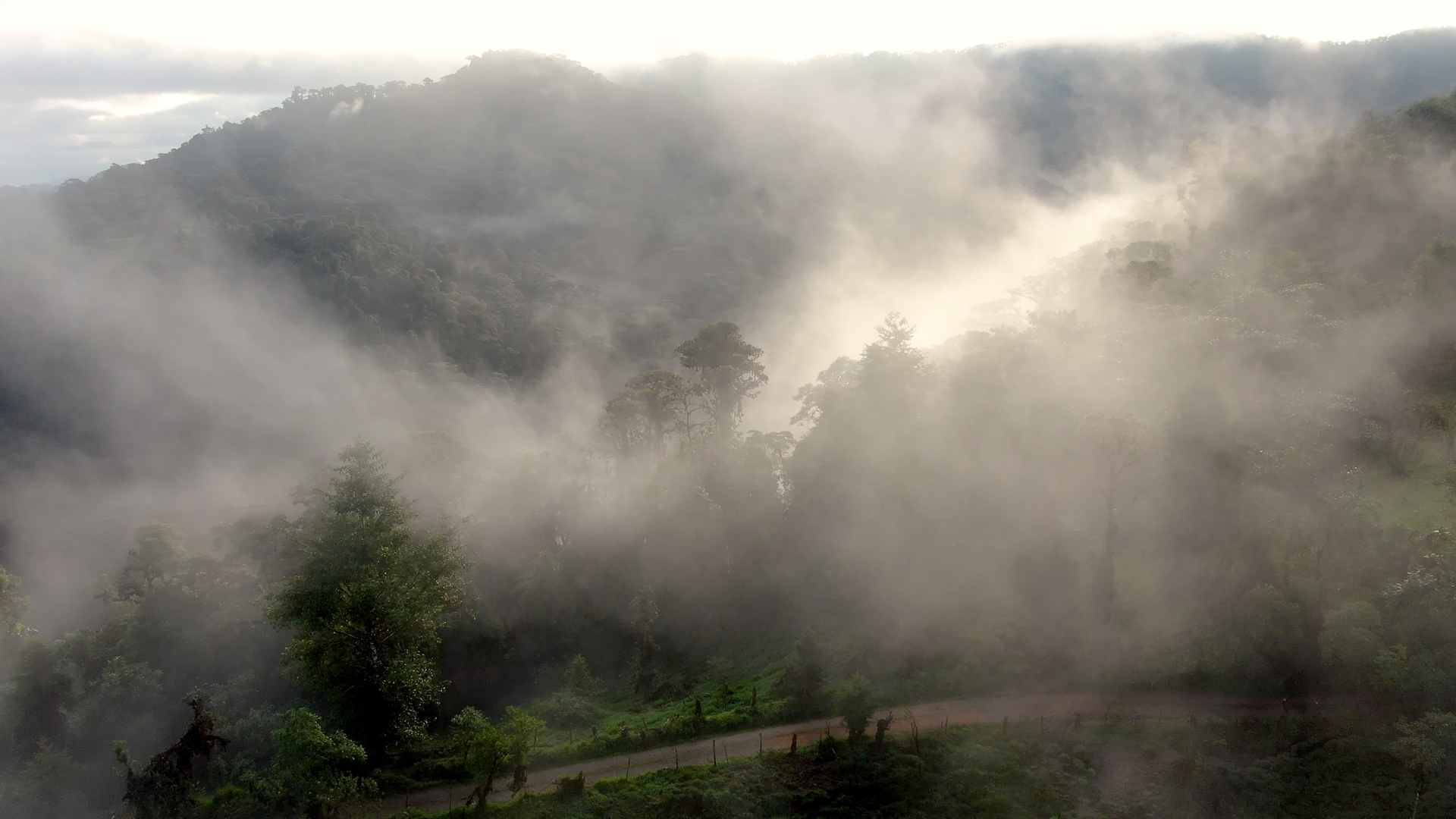 Aerial view of Mindo cloud forest